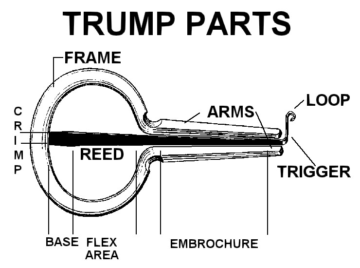 Parts of a Trump